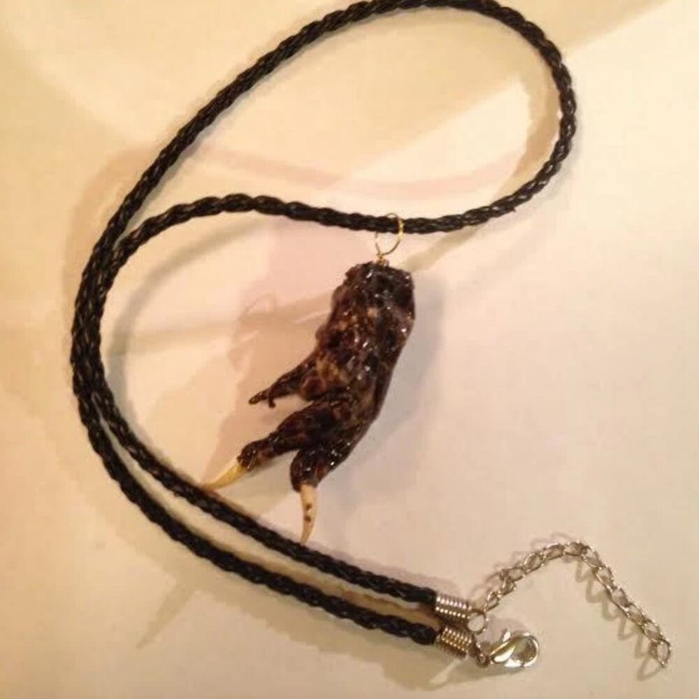 Louisiana Alligator Foot Claw Taxidermy Necklace on Black Braided Leather Straps - Picture 2 of 4